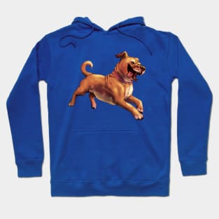 Puggle Hoodie